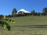 Venta Parcela en Lomas de Rucanqui, sector Loncotraro Alto