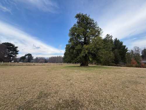 Venta Parcela N 73 en Condominio Canto del Lago