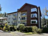 Arriendo Departamento N105 en Condominio Pucn Andino, Los Coihues 1