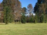 Venta Parcela Lote 8 Lote El Cristo Caburgua, Pucn